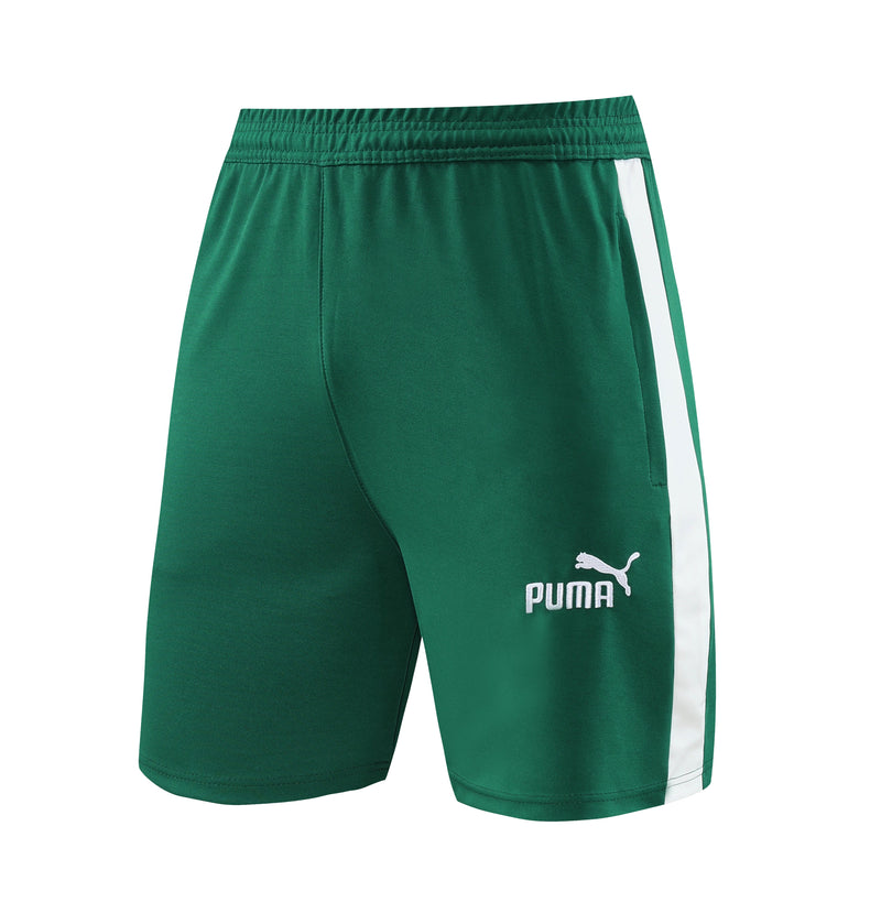 Conjunto Puma Fitness Treino Masculino - Verde